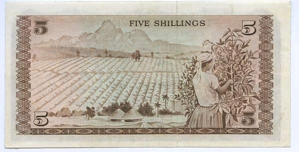 5 先令