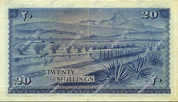 20 先令