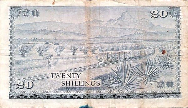 20 先令