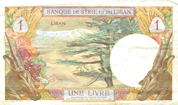1 本