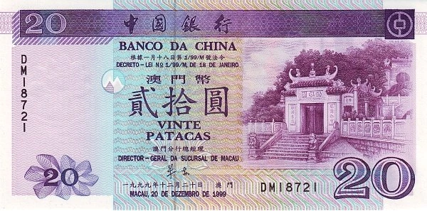 20 个耶路撒冷洋蓟